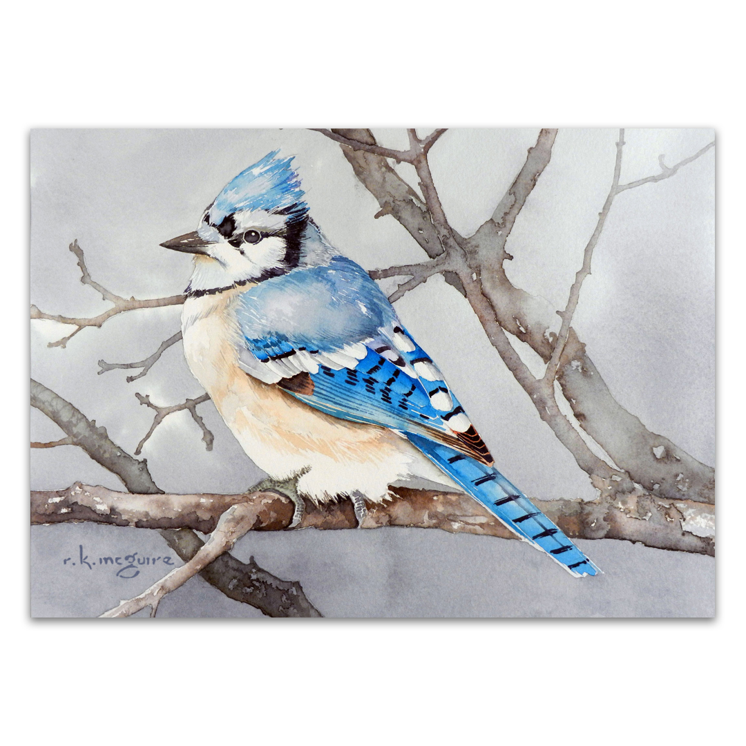 Bluejay in Mist